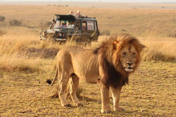 6 Days lodge &camping tour Serengeti ,Tarangire ,Ngorongoro Crater and Manyara - Six useful facts before you book