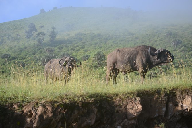 6 Days lodge &camping tour Serengeti ,Tarangire ,Ngorongoro Crater and Manyara - What the six-day route really feels like
