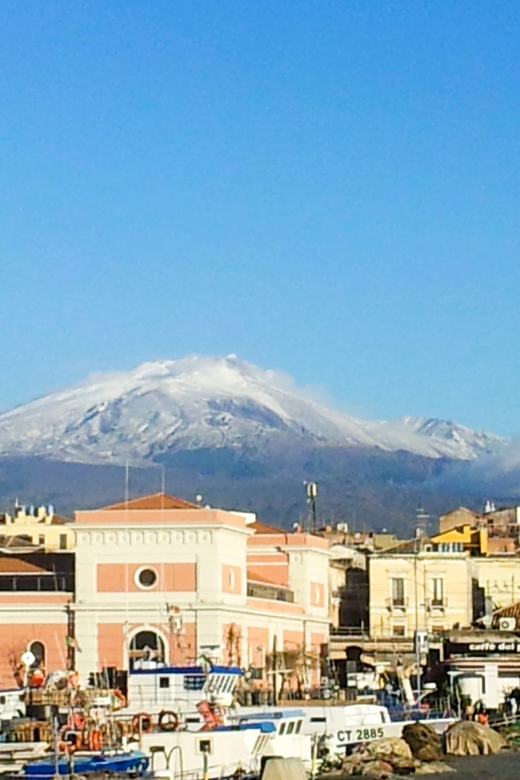6-Hour Mount Etna Excursion - From your accommodation to Monti Rossi