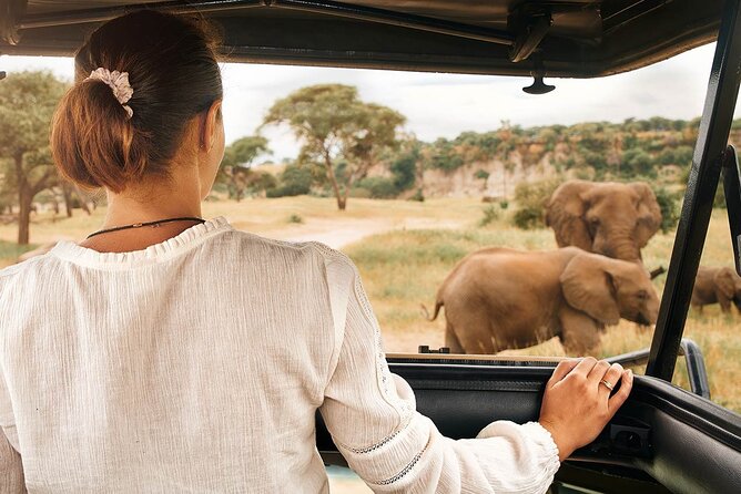 7-Days Private Midrange Safari; Serengeti & Ngorongoro Crater - Day 4: Two game drives in the Serengeti