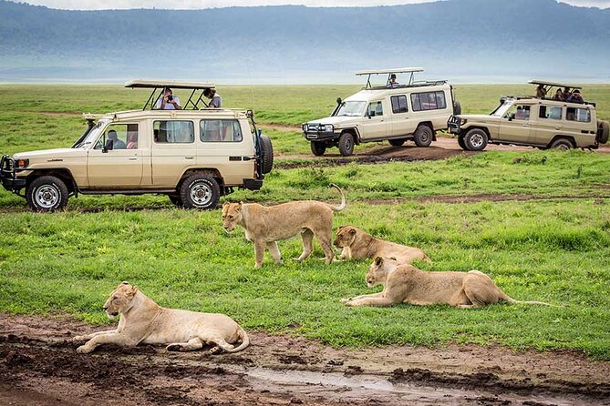 7-Days Private Midrange Safari; Serengeti & Ngorongoro Crater - Day 5: Leaving Serengeti for Ngorongoro