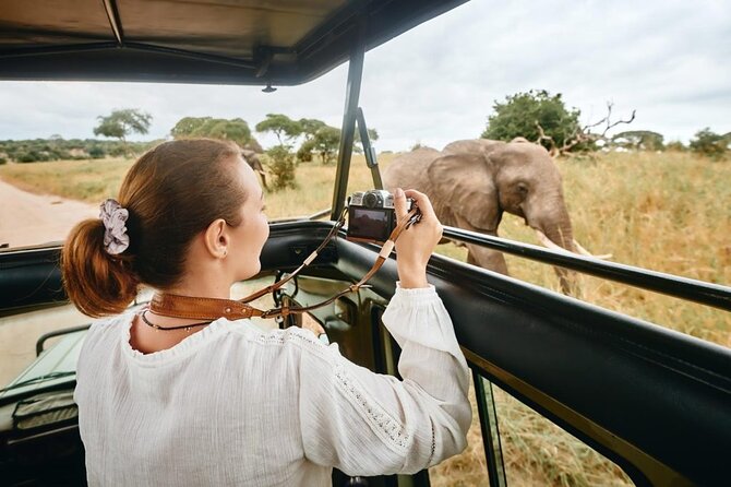 7-Days Private Midrange Safari; Serengeti & Ngorongoro Crater - Day 6: Down into Ngorongoro Crater
