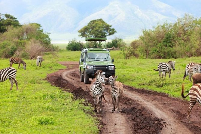 7-Days Private Midrange Safari; Serengeti & Ngorongoro Crater - Day 1: Arusha National Park on foot and by 4x4