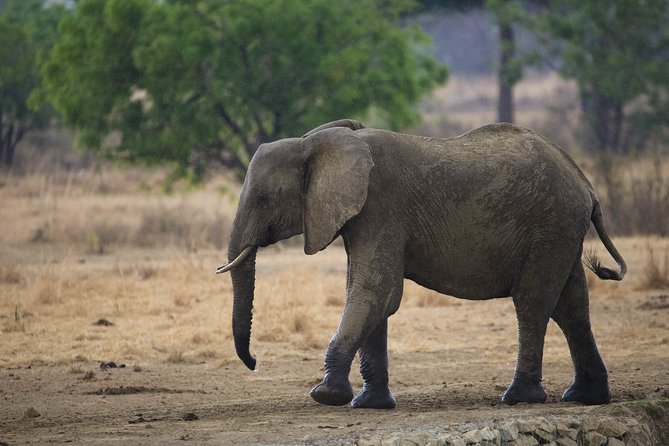 7 Days Safari. Serengeti, Tarangire, Lake Manyara & Ngorongoro Crater. - Day 7: Lake Manyara and the road back