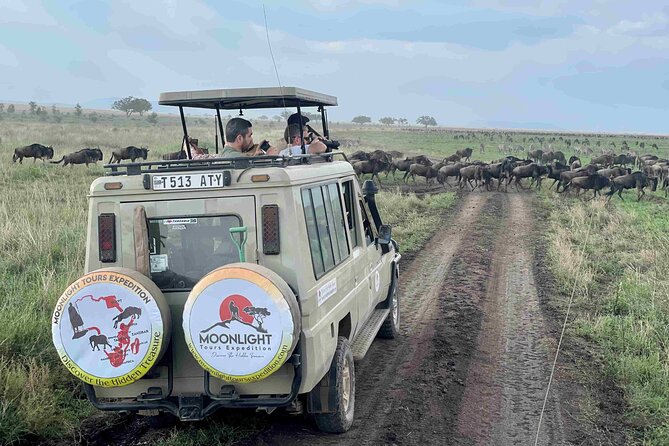 7Day Serengeti Migration (Ndutu), Crater, Hot Springs & City Tour - What the seven days are really like