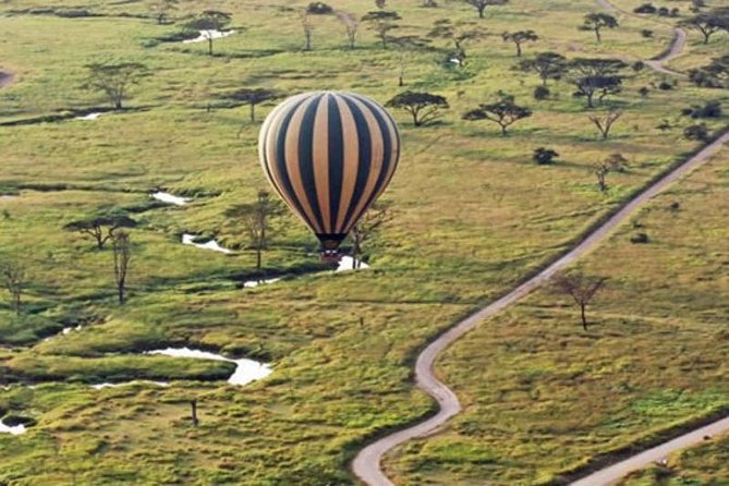 7Day Serengeti Migration (Ndutu), Crater, Hot Springs & City Tour - The private vehicle and guide make the difference