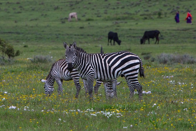 9 Days Tarangire, Serengeti, Ngorongoro Crater & Manyara Camping Safari Tour - Tarangire Gives You an Early Taste of Safari