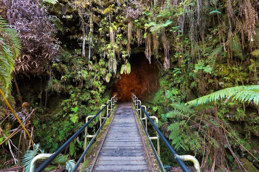 A Guided Hike Adventure: Kilauea Iki Crater and a Lava Tube - Halemaʻumaʻu views and an active volcano
