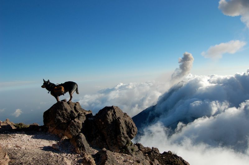 Acatenango Volcano 2-Day Hike - Who should choose this hike?