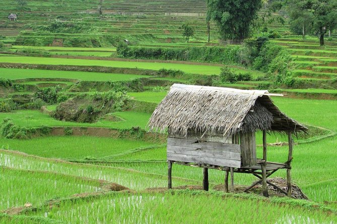 Active Volcano, Rice Field, Hot Spring, Fruit market, Tea Plantation with Lunch - Tangkuban Perahu, the day’s clear highlight