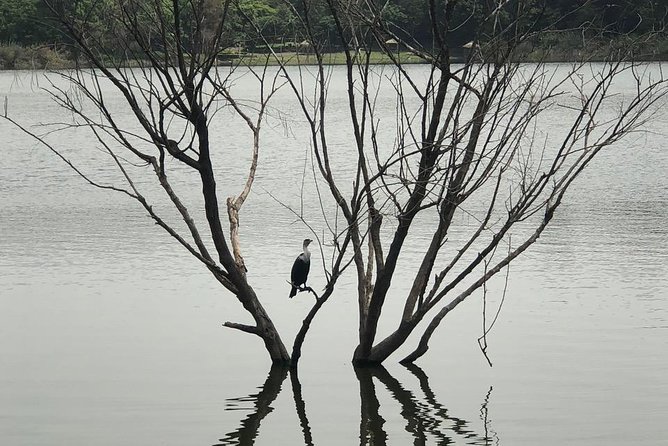 Addis City Tour & Crater Lakes excursions in Debreziet! - Why This Short Tour Works