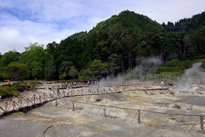 Adventure in the Furnas, with volcanoes, lagoons and tea plantations - Gorreana Tea Plantation: Europe’s unusual tea country