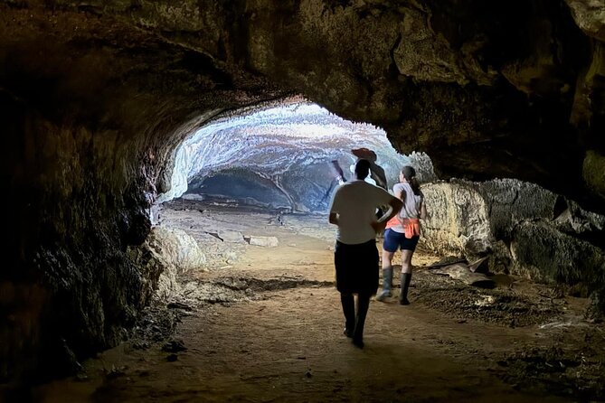 Adventure with Giant Turtles, Lava Tunnels and Craters - Why the Santa Cruz highlands are worth your morning