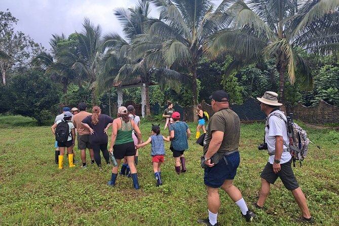 Adventure with Giant Turtles, Lava Tunnels and Craters - Los Gemelos and the short crater walk