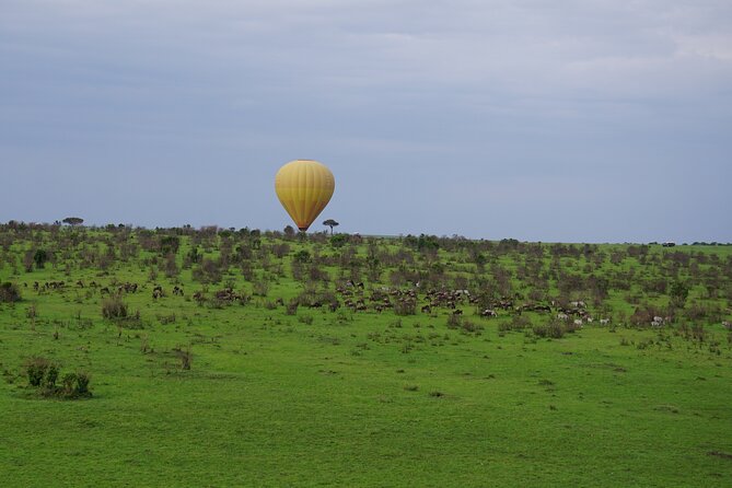 Affordable 3-Day Safari to Serengeti & Ngorongoro Crater - Day 2: Leaving the Serengeti for the crater rim