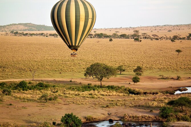 Affordable 3-Day Safari to Serengeti & Ngorongoro Crater - Who should book this safari