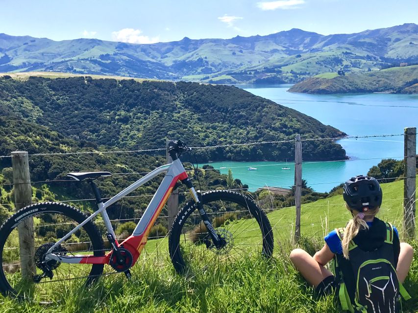 Akaroa: Guided Electric Mountain Bike Tour-Lava Loop - Local guides make the ride more than exercise