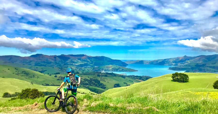 Akaroa: Guided Electric Mountain Bike Tour-Lava Loop - The descent is fun, but do not switch off