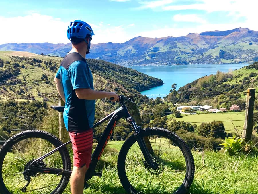 Akaroa: Guided Electric Mountain Bike Tour-Lava Loop - Who will enjoy the Lava Loop most?
