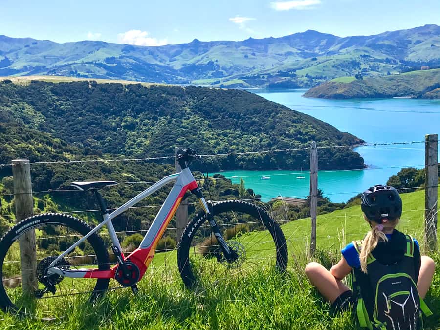 Akaroa: Guided Electric Mountain Bike Tour-Lava Loop - Why the electric assistance changes the ride