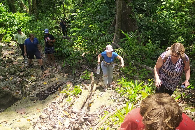 Ancient Lava Stream Trek through dense Tropical forest. - Price, group size, and what you receive