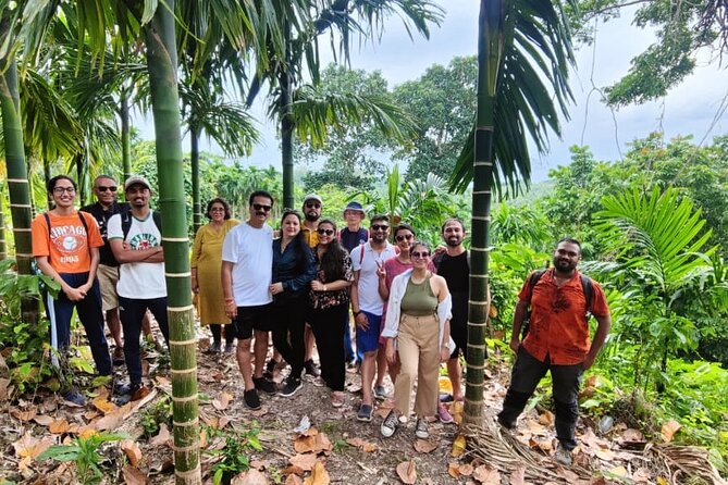 Ancient Lava Stream Trek through dense Tropical forest. - The areca nut plantation and local working life