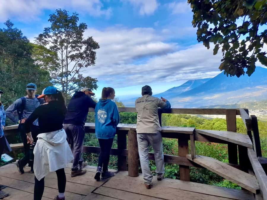Antigua Guatemala: Private Day Tour to Pacaya Volcano - Pacaya Volcano Tour: Key Points