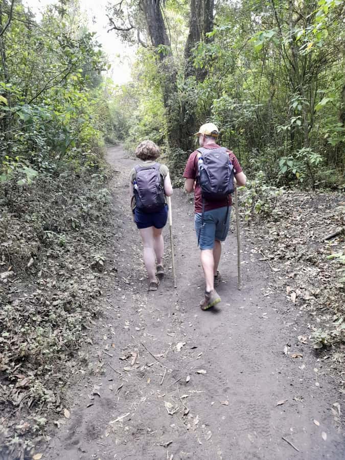 Antigua Guatemala: Private Day Tour to Pacaya Volcano - Is $95 a Fair Price?