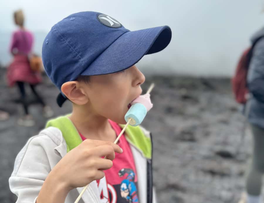 Antigua: Marshmallows Roasting at Pacaya Volcano 6-hour Tour - What this Pacaya tour actually offers