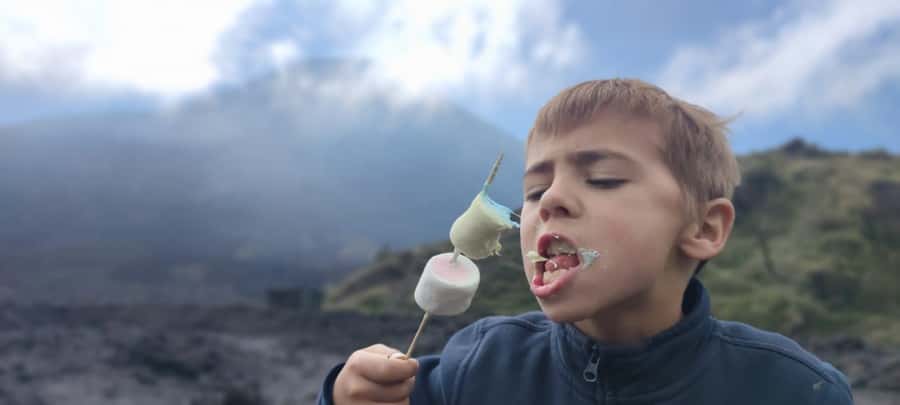 Antigua: Marshmallows Roasting at Pacaya Volcano 6-hour Tour - Early pickup or afternoon light