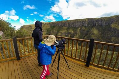 Antisana Volcano Birding & Natural History Condor Tour PRIVATE, all included