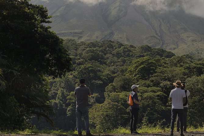 Arenal Volcano Hike Expedition with Optional Hot Springs - Wildlife gives the walk a second purpose