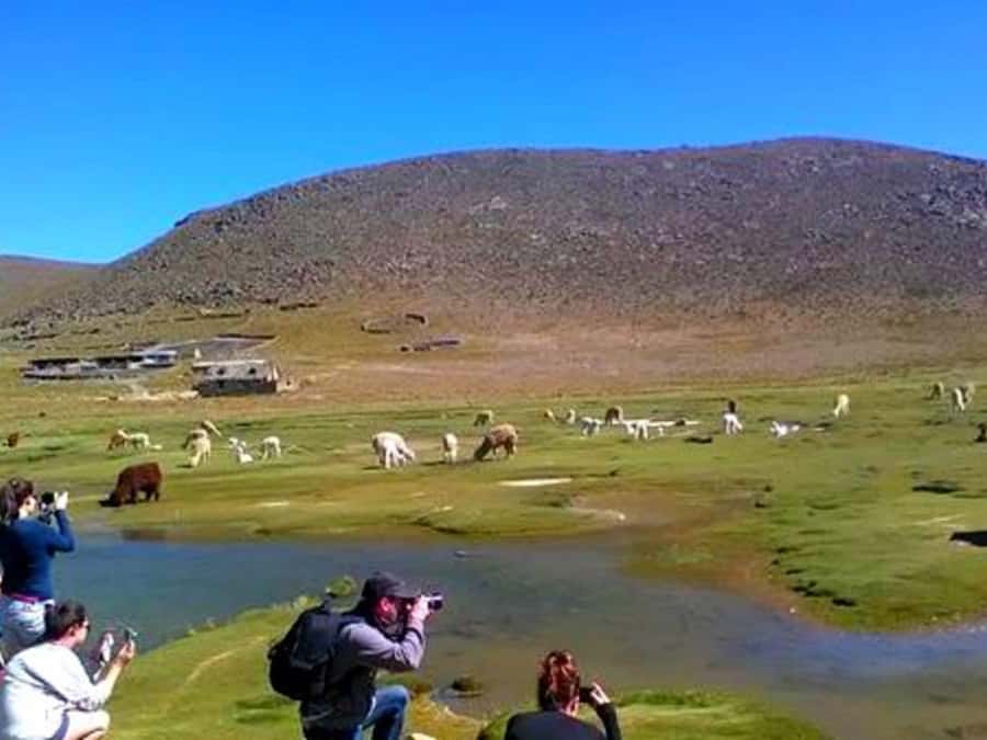 Arequipa | Ascent to Chachani Volcano 2 days / 1 night - The descent back to base camp and Arequipa