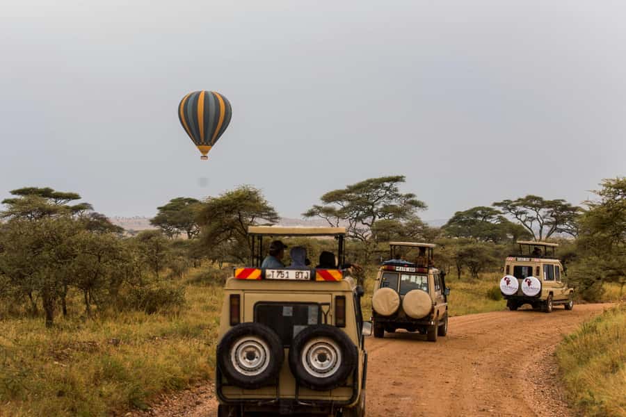 Arusha: 3-Day Serengeti & Ngorongoro Crater Big Five Safari - Day 2: Sunrise in Serengeti, then the Ngorongoro highlands
