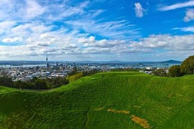 Auckland City Volcano & Scenic Highlights Tour - Why this Auckland tour works well for a first visit
