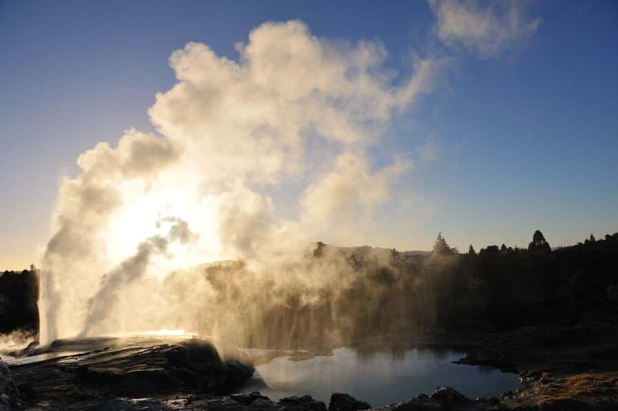 Auckland: Full-Day Trip to Rotorua Geothermal Valley - Why this Auckland to Rotorua trip works