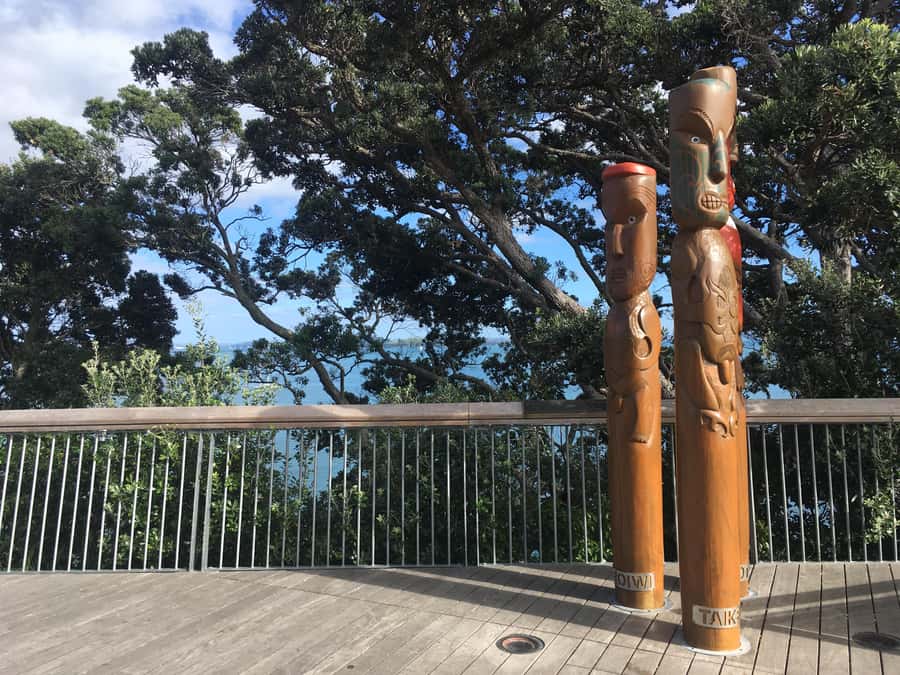 Auckland: Half-Day Auckland Volcanoes Tour - Key points to know before booking
