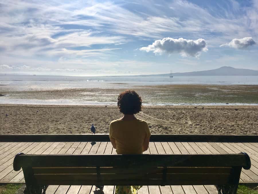 Auckland: Half-Day Auckland Volcanoes Tour - Why Auckland’s volcanoes make such good viewpoints