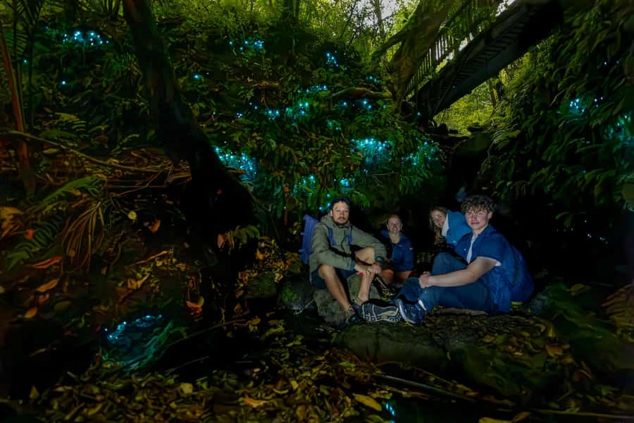 Auckland: Inner-City Glowworm Experience in Ancient Volcano - Following the volcanic park into the dark