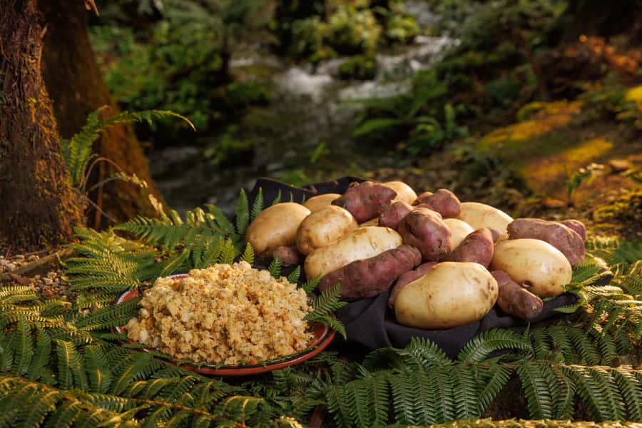 Auckland: Rotorua Māori Cultural & Geothermal Tour & Lunch - FAQ