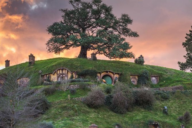 Auckland to Hobbiton Movie Set and Rotorua's Geothermal Valley - A small-group ride instead of a self-drive marathon