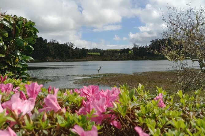 Azores: 1 Day Private Tour Furnas Volcanic Activity & Hot Springs - Vila Franca closes with a local sweet