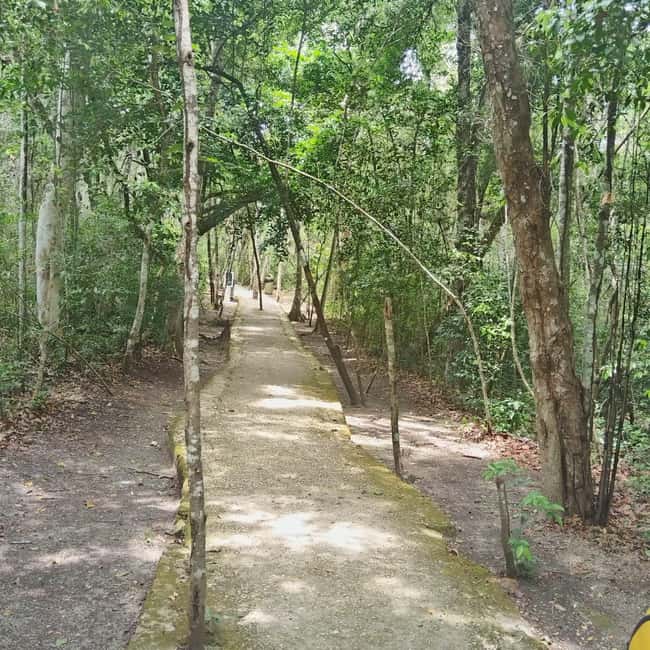 Bacalar: Calakmul ruins tour jungle and the bat volcano.. - Who will enjoy this day most?