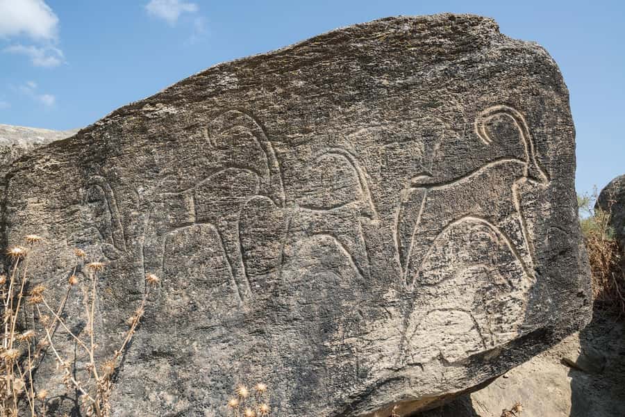Baku: Gobustan, Mud Volcanoes & Absheron (Group or Private) - Key details before you book