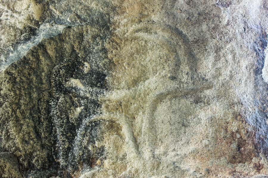 Baku: Gobustan, Mud Volcanoes, Ateshgah, and Yanardag Tour - What the $99 price really covers