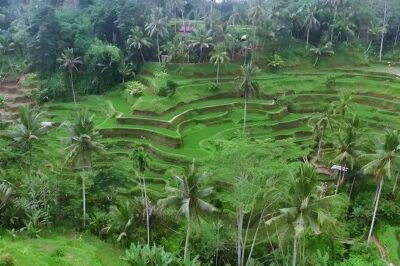 Barong Dance, Rice Terrace, Volcano, Temple, Waterfall Tour