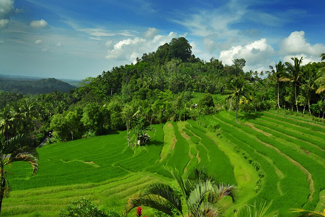 Bali Full Day-Tour: Kintamani Volcano and Besakih Temple Tour - Kertha Gosa adds royal court art and local law