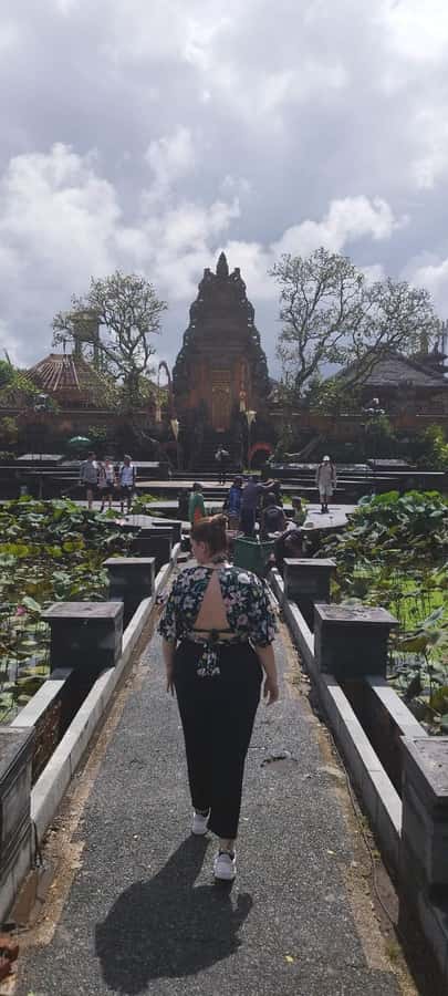 Bali : Highlight of Ubud Culture, Temple and Batur Volcano - The private driver makes the busy route workable