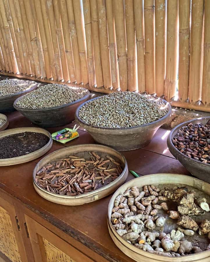 Bali : Highlight of Ubud Culture, Temple and Batur Volcano - Celuk silver work and the souvenir question