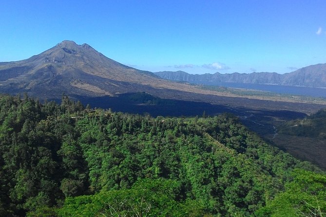 Bali in 1-Day : Rice Terrace, Volcano, Tanah lot - All Inclusive - What the $75 price really buys you